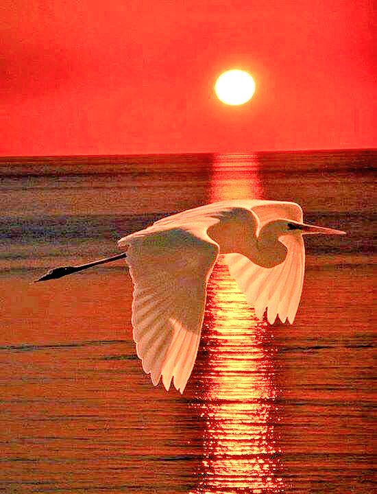 mrtom101's tweet photo. @HDrelaxation4U @GuillaumeCalao @dwauthyboehme @kwang5andy @SIMONLERNER1 @227eada8efa54eb @peac4love @07rubens @2_simplify 👋🏼Everyone🙏🏽😎 https://t.co/e1VSXQxuUx