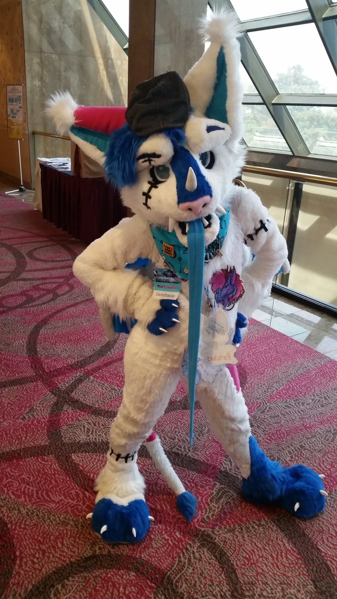 JoshTheTiger's tweet photo. I went to #TFF2017 this year, and had a really great time! ^-^

#TexasFurryFiesta https://t.co/0gIh1QrW8F