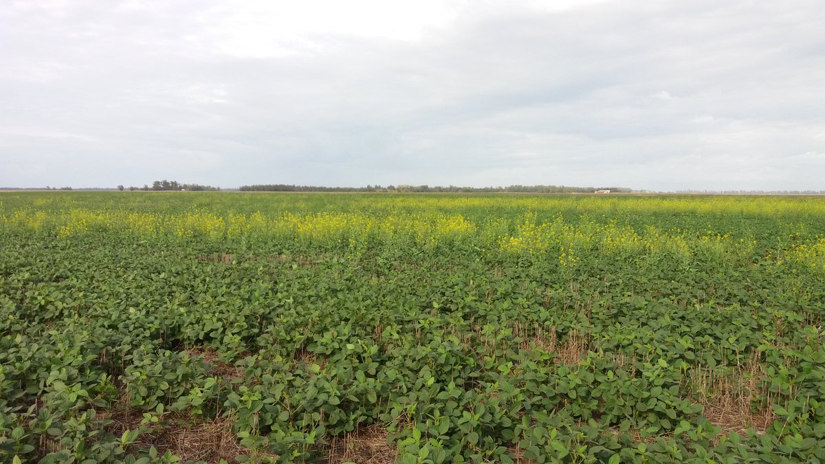 Esteban Bilbao tweet media