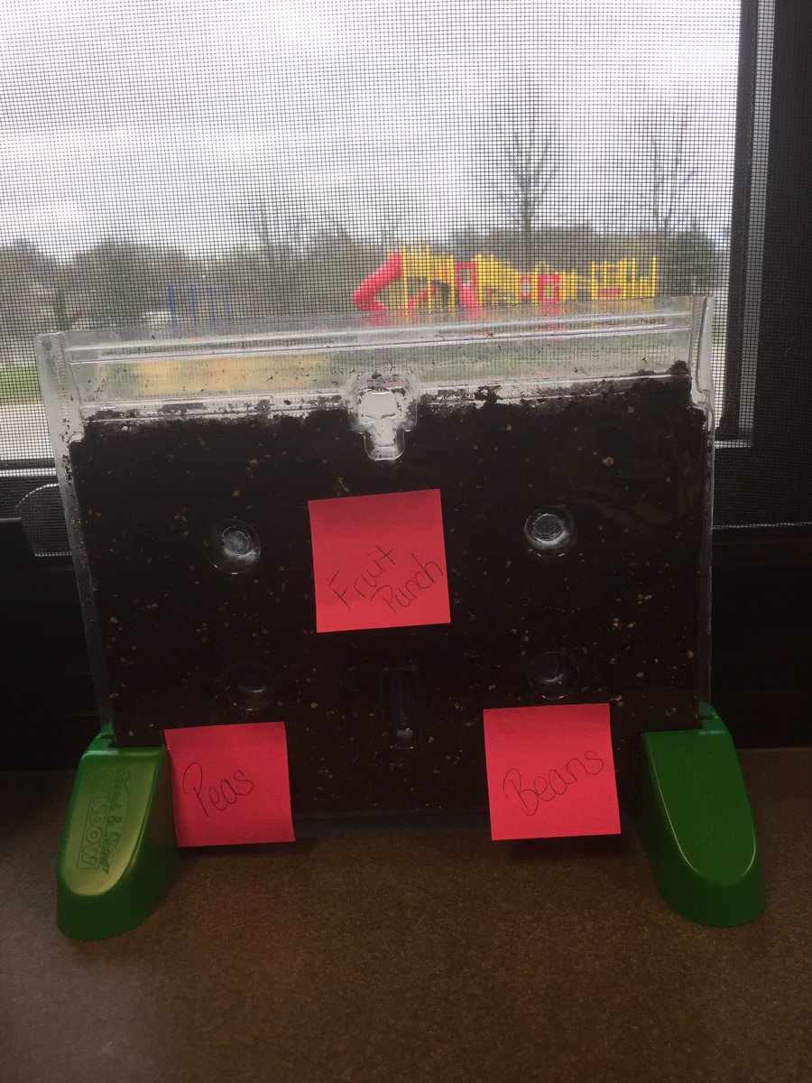 jessarae99's tweet photo. Gearing up for our science fair projects in 5th grade :) We're excited to see which liquid will make our seeds grow the fastest! https://t.co/AO9PnBDpSx