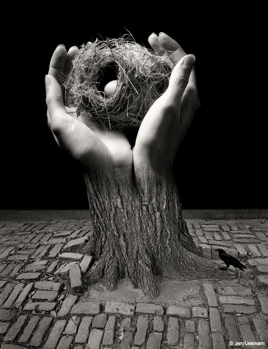 ''...like balls of clay.''  8l8 <a href="/igorspaceVGC/">igorspace</a>