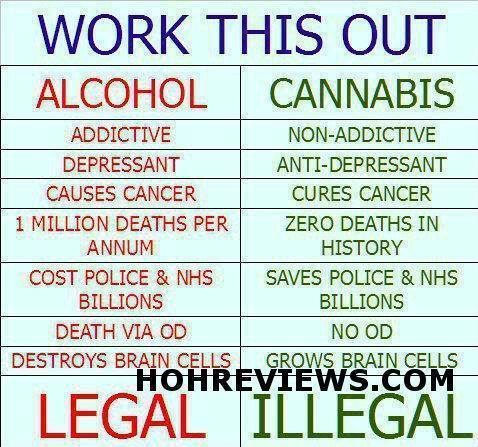 HouseofHemp's tweet photo. https://t.co/8QD5RLgSQv
