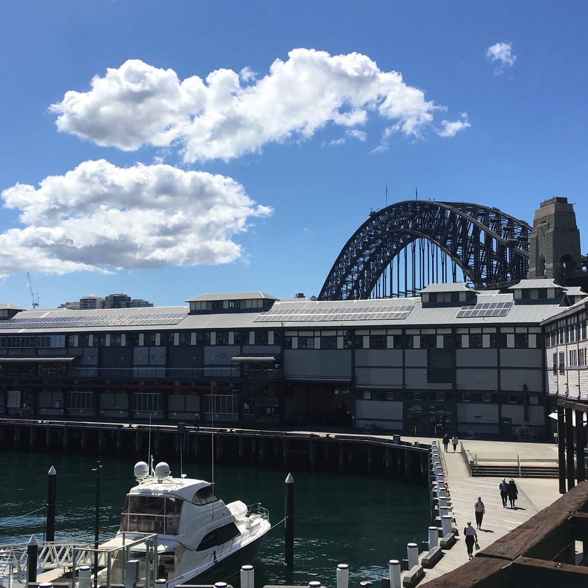 twofeetsydney's tweet photo. #sydney sights....nothing more to say 😉 #seesydney https://t.co/JY4akWC7UC