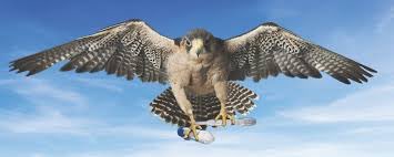 odermann's tweet image. T-minus 90 minutes until #ProjectFalcon commences. #peace