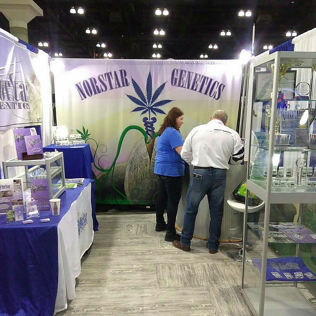 Horticulture360's tweet photo. @norstargenetics setting up booth at the #horticulture360 @BIGIndustryShow #California 2017. https://t.co/3PCJrJ5FNe