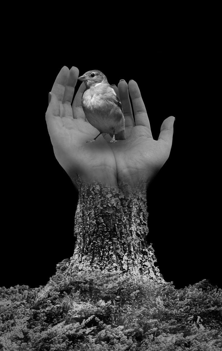 ''hands all over words i utter...'' <a href="/igorspaceVGC/">igorspace</a>