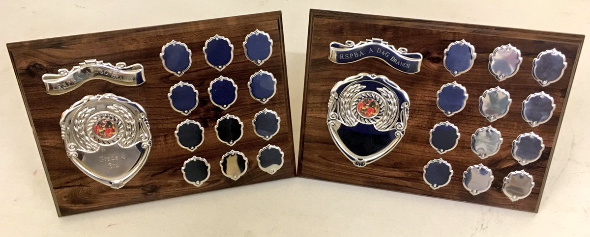 LochryanPB1932's tweet photo. Here are our first two shields from our first competition. Grade 4 March 3rd and Grade 4 MSR 2nd
Brand new too #Shiny #Shields #TeamLochryan https://t.co/dxu9THIkop