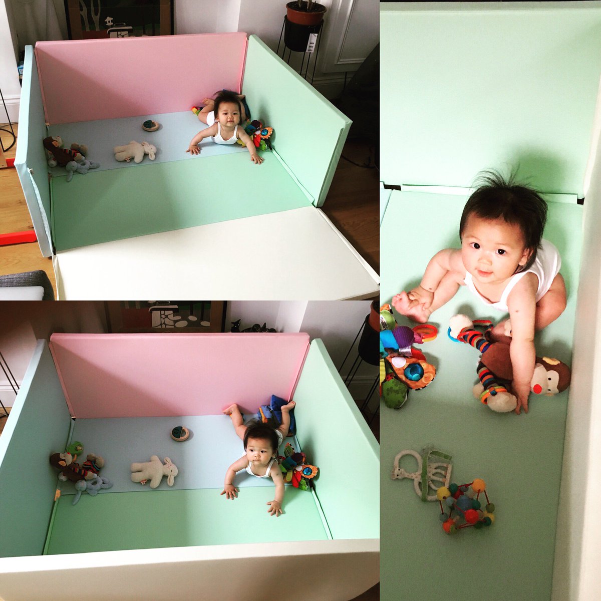 BumpermatUK's tweet photo. Solution found! A padded playpen but flexible &amp; prettier! Great for tummy time &amp; sitting right now + private loo time for mummy, hurray!!! https://t.co/PU9u2hzrHt