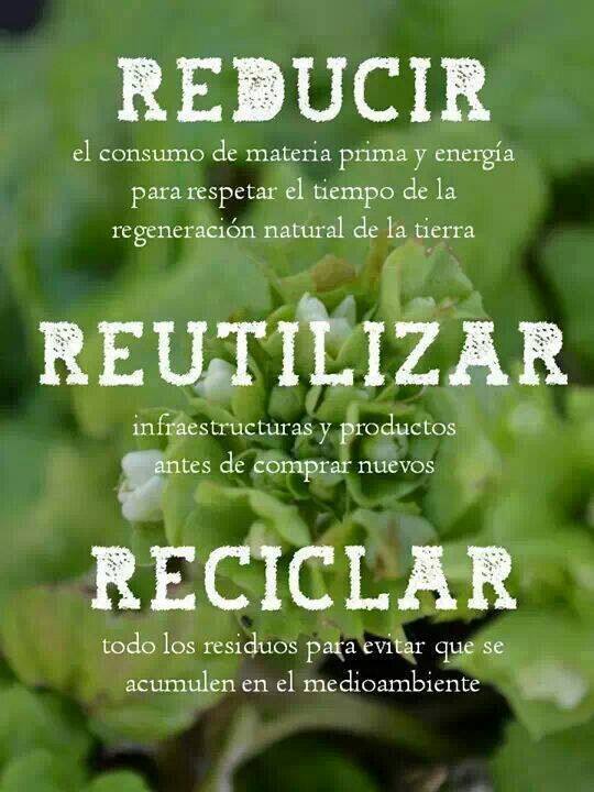 RECICLACCION tweet media