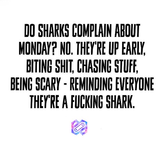 Do shark get upset when fish judge them bc the shark is being too assertive and bold? Hell no, they just eat them, #motivationmonday for ya!