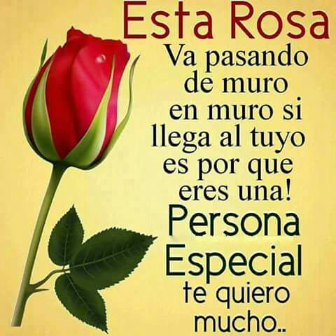 jhaenc's tweet photo. @jhaenc https://t.co/udhfvLJGDQ