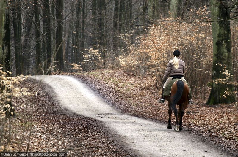Lyons_Gate_Farm's tweet photo. Trail First-Aid
https://t.co/WcSz557bMt
#lyonsgatefarm #lyonsgatedressage #douglasstatepark https://t.co/HJ6M0JCUJG