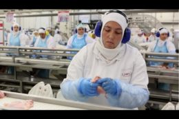 RepostQueen's tweet photo. Brazil #Suspends Meat Plants Due To #CORRUPTION https://t.co/oTMg6VcAFa #RepostQueen #BreakingNews #brazilmeat #RQ https://t.co/vCVSZEwW6i