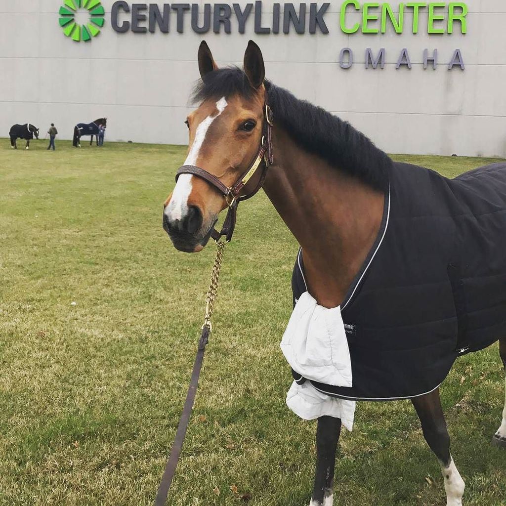 Bianca is ready for the #WorldCupFinal ift.tt/2nG283q