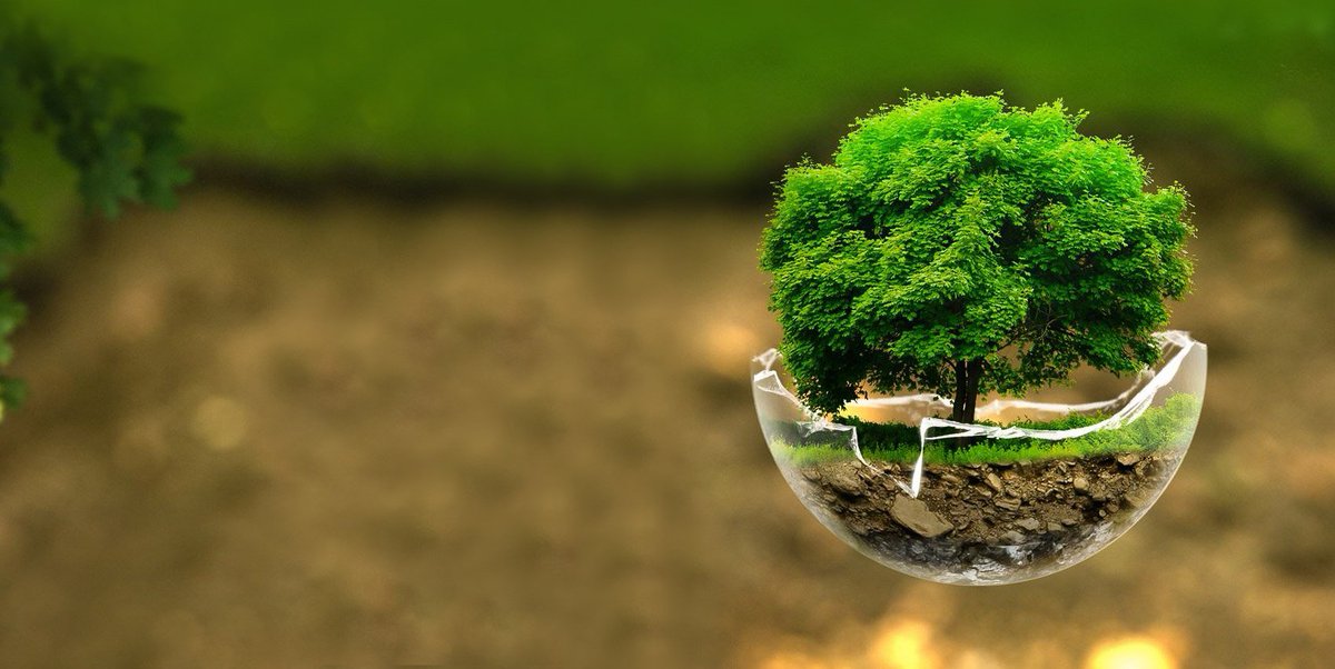 GranjeroVerde's tweet image. Una hora no es suficiente. 

#MadreTierra