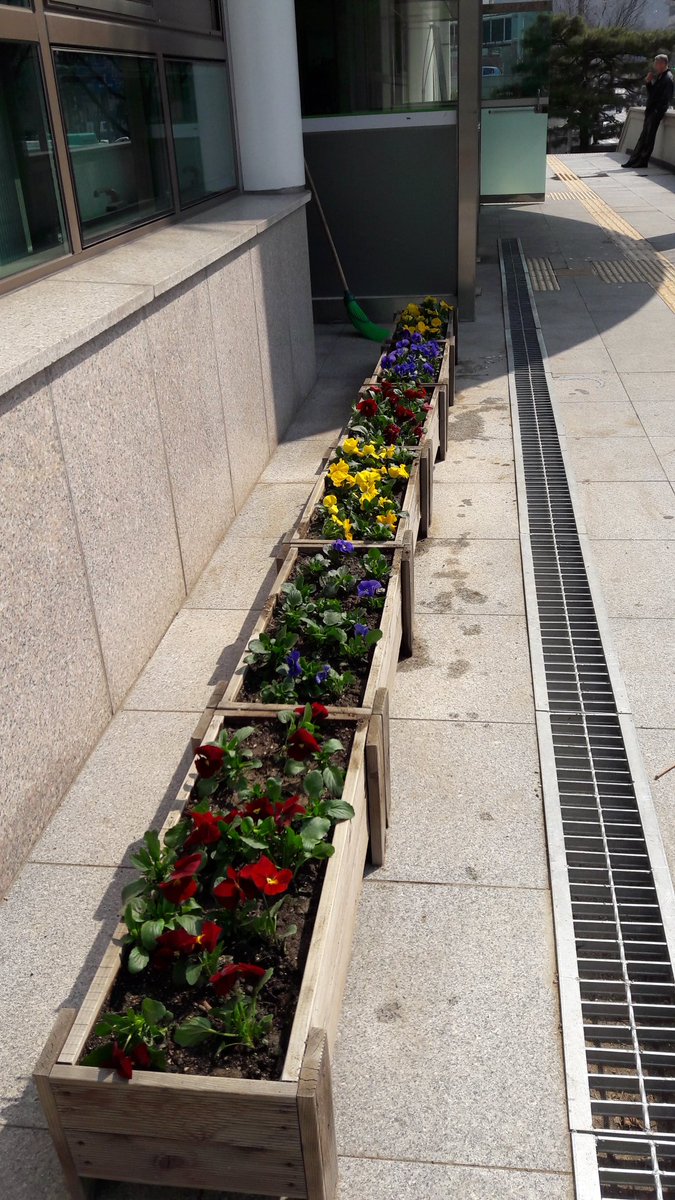 #성남시
중원구 시민봉사과  봄 분위기를 위해 꽃과화초를 심어 사무실 분위기를 바꿨어요