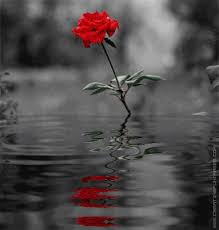 32448ebcaa6e421's tweet photo. كن ربيع الامنيات كن عبيرا سلاما عيش محبا للحياة #  صباح الخير صباح الربيع https://t.co/N9y3VxDBFO