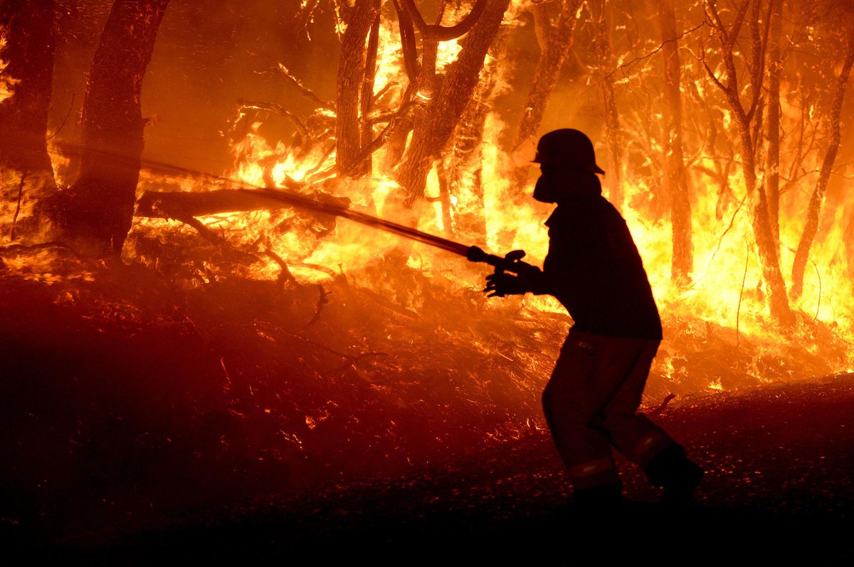 Greenpeace's tweet photo. These past disasters reveal the terrifying future of #climatechange https://t.co/TXY1qldhZJ https://t.co/4ICsBRLnOg