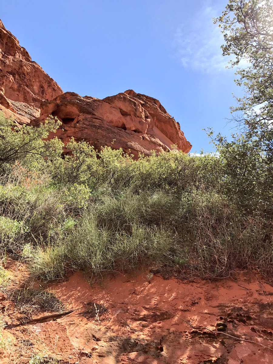 SlotCanyonTours's tweet photo. Wonderful hiking weather! Stay hydrated because it's getting warm! 🌞 https://t.co/wr5nd0zPOa