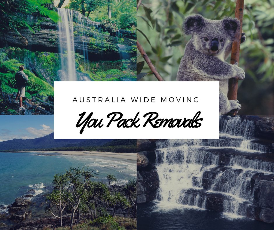 YouPackRemove's tweet image. Moving Australians Over A Decade!

Best &amp;amp; Budget Way To Move Interstate ow.ly/ItTD309X4q0 

#YouPackRemovals #MovingContainers