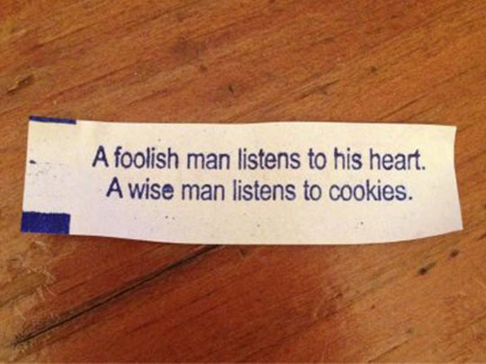 LukeRomyn's tweet photo. I have a suspicion the cookie is lying. https://t.co/tsQ1Xk9Dd5