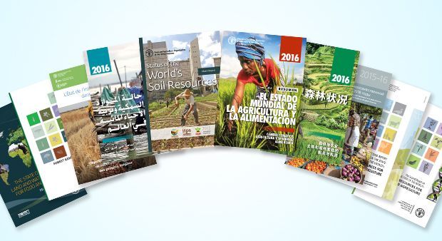 FAOKnowledge's tweet photo. Check out our State of the World Reports on food production, hunger alleviation &amp; more https://t.co/NvtmBLeTd8 #zerohunger https://t.co/I7QSBCTgPs