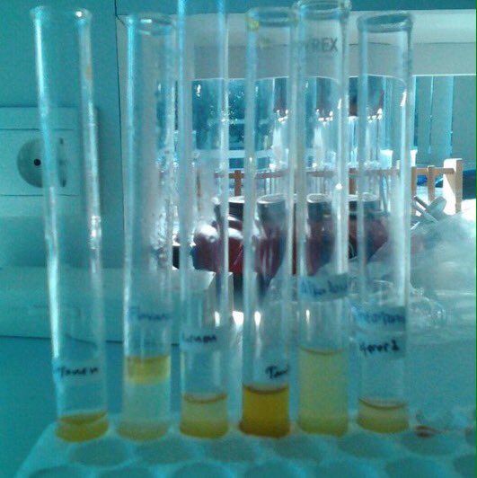 Kenalan dengan <a href="/Manprod_ID/">Manprod ID</a>, Program Riset Ekstraksi Mangrove KeSEMaT
-----
Selengkapnya line.me/R/ti/p/%40clk1…