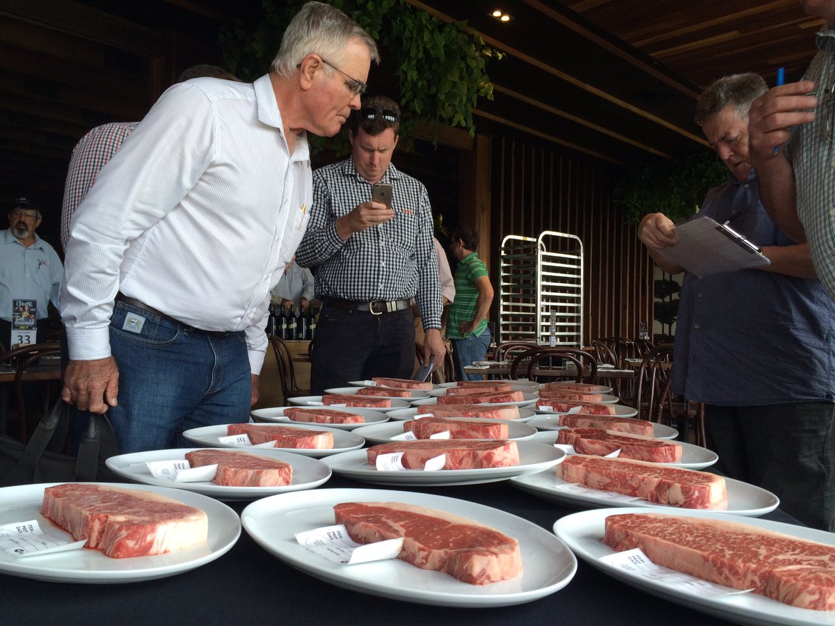 endofthebitumen's tweet photo. Visual inspection of the 2017 @AustWagyuAssoc #BrandedBeefCompetition #marblehall #lotsatstake https://t.co/ju7qvlRJmQ