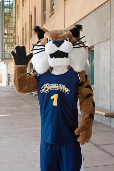 GO2UCMerced's tweet photo. Rufus wants to know if you will you be joining us for #BobcatDay17 on Saturday, April 22? #UCMerced For more info: https://t.co/evjRF8N6bL https://t.co/M6qw4JTO2H