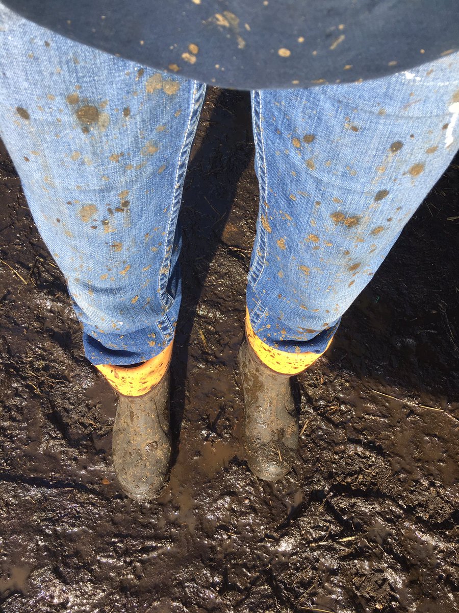 GammieCA's tweet photo. Keep your mouth shut for this job! #itcantbedone #notmud https://t.co/WsTwdSuBhu
