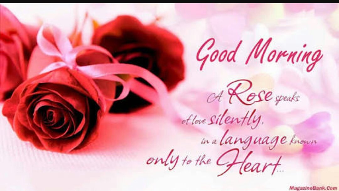 simraninsan301's tweet photo. 💌@Gurmeetramrahim 💌
#WinningHeartsHKNKJ 
G💏d m💍rning
Sohne shenshah g
💌ધન ધન સતગુરુ તેરા હી આસરા💌
Give blessing 2 ol 4 sewa,sumrin &amp; prmarth https://t.co/hdrx2atzWD