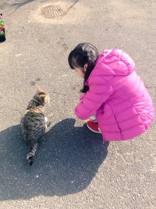 Twitterのコスプレ画像45