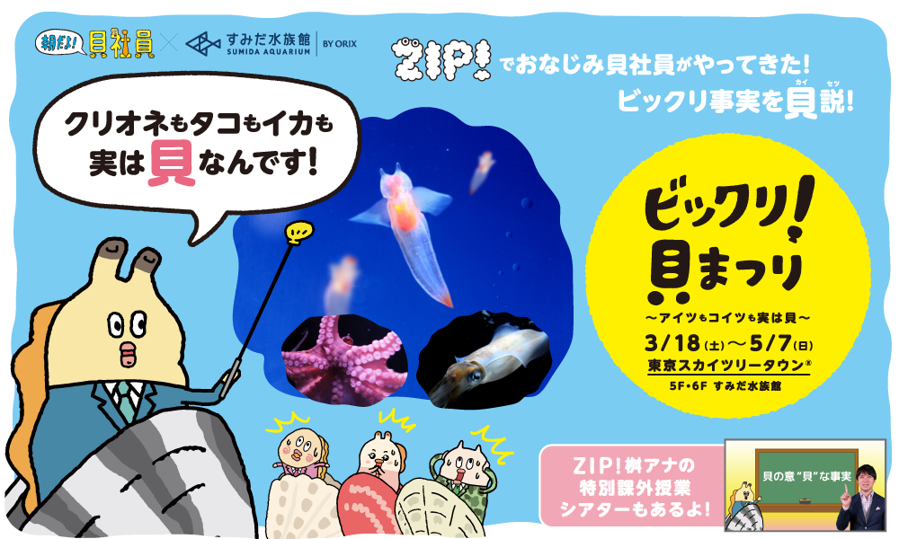 \動画公"貝"中!!/
クリオネもタコも実は貝!?「ビックリ!貝まつり ～アイツもコイツも実は貝～」すみだ水族館にて18日(土)より開催!今すぐチェックするっす!→https://t.co/Skgf1fk4ae #貝社員 