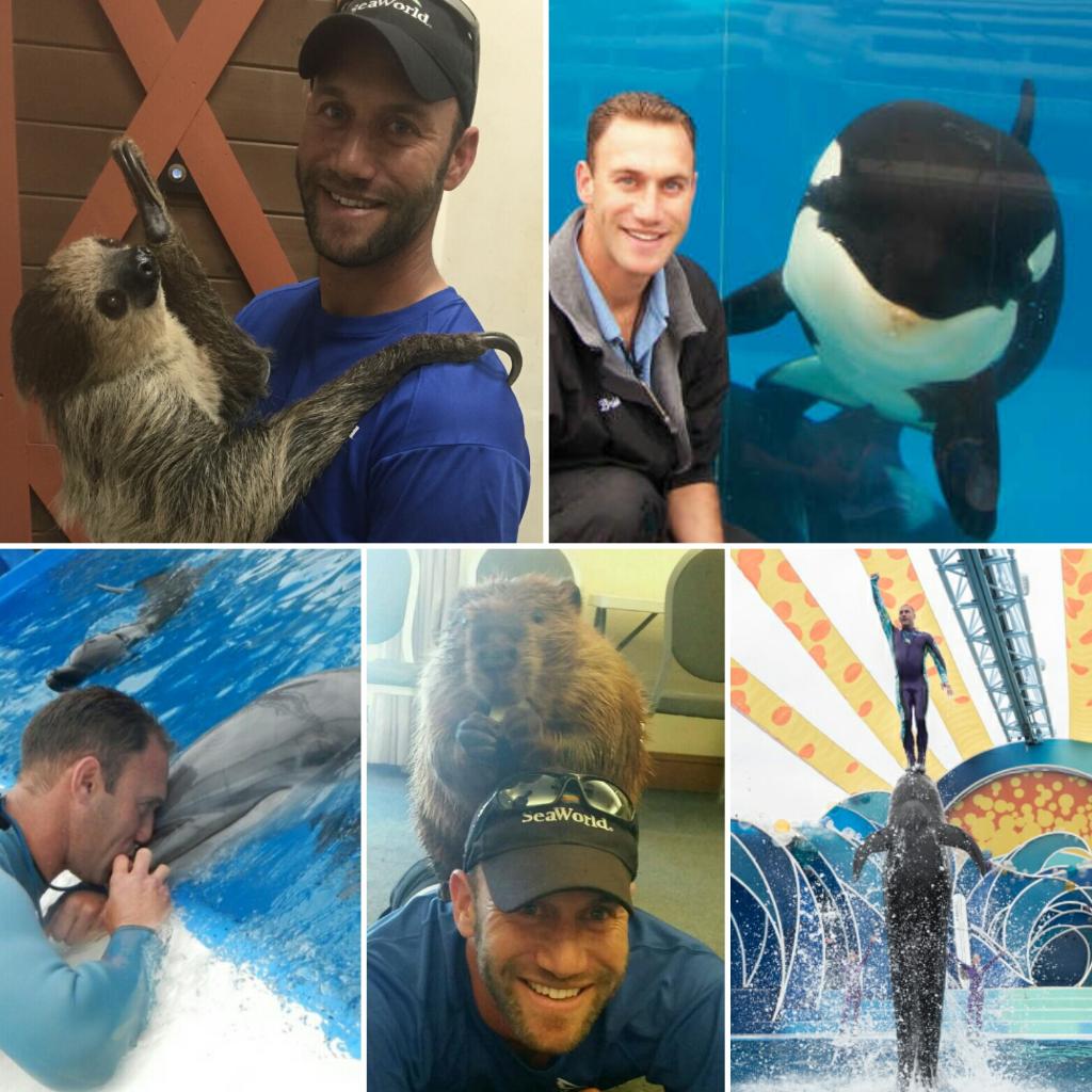 SeaWorld's tweet photo. For Brian, the best part about working at #SeaWorld is being able to see a guest make a lasting connection with an animal. https://t.co/iMa5lLWhP8