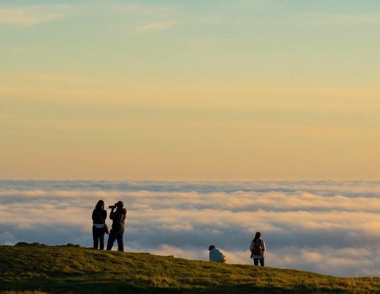 OakCommon's tweet photo. Can't get over this epic 📷 by the super talented @juusto__ at Mt. Tam 👌👏👍 #goals #thisisre… https://t.co/N9OCaXwiXE https://t.co/gS7rsoz9wb