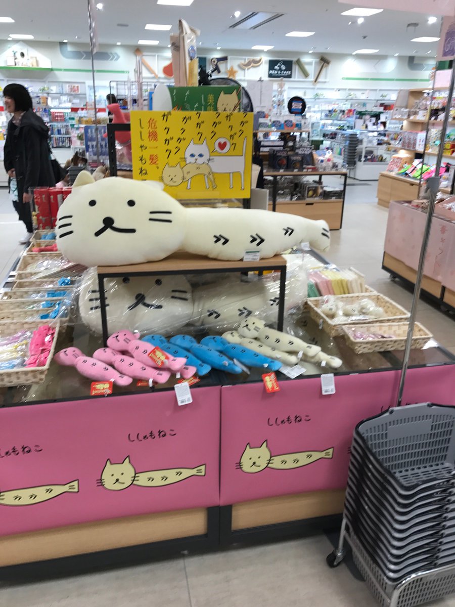 3/15より東急ハンズ長崎店さまで、ししゃもねこ売り場が登場しました