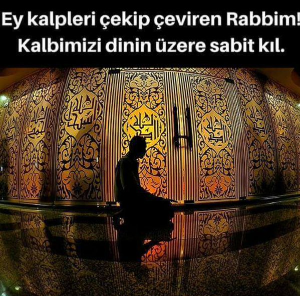 mehmetoru18's tweet image. 