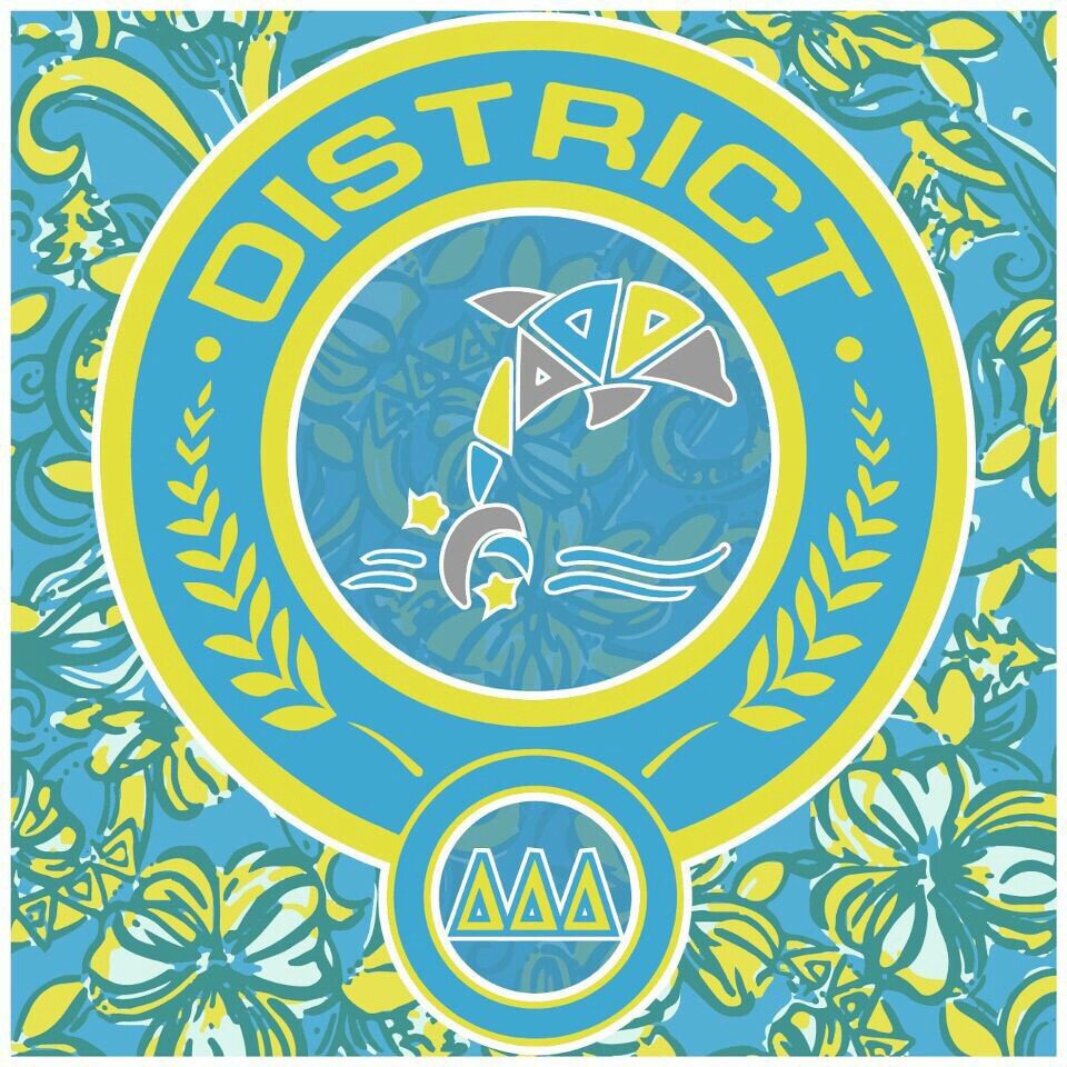 not_steph_s's tweet image. Awesome banner by #trianglefraternity for their hunger games themed philanthropy event! Tons of fun! @UCLATridelta