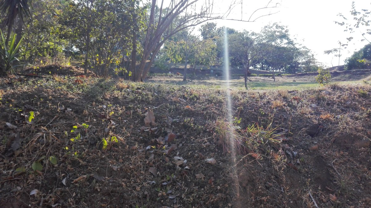 OgegReal's tweet photo. LOTE 22, BOSQUES DEL SOL, OROTINA COSTA RICA 

1.115 m2 
Totalmente plano, listo para construir
Valor: 38 millones ¡Negociable!

#RealEstate https://t.co/n7TuaFxO0q