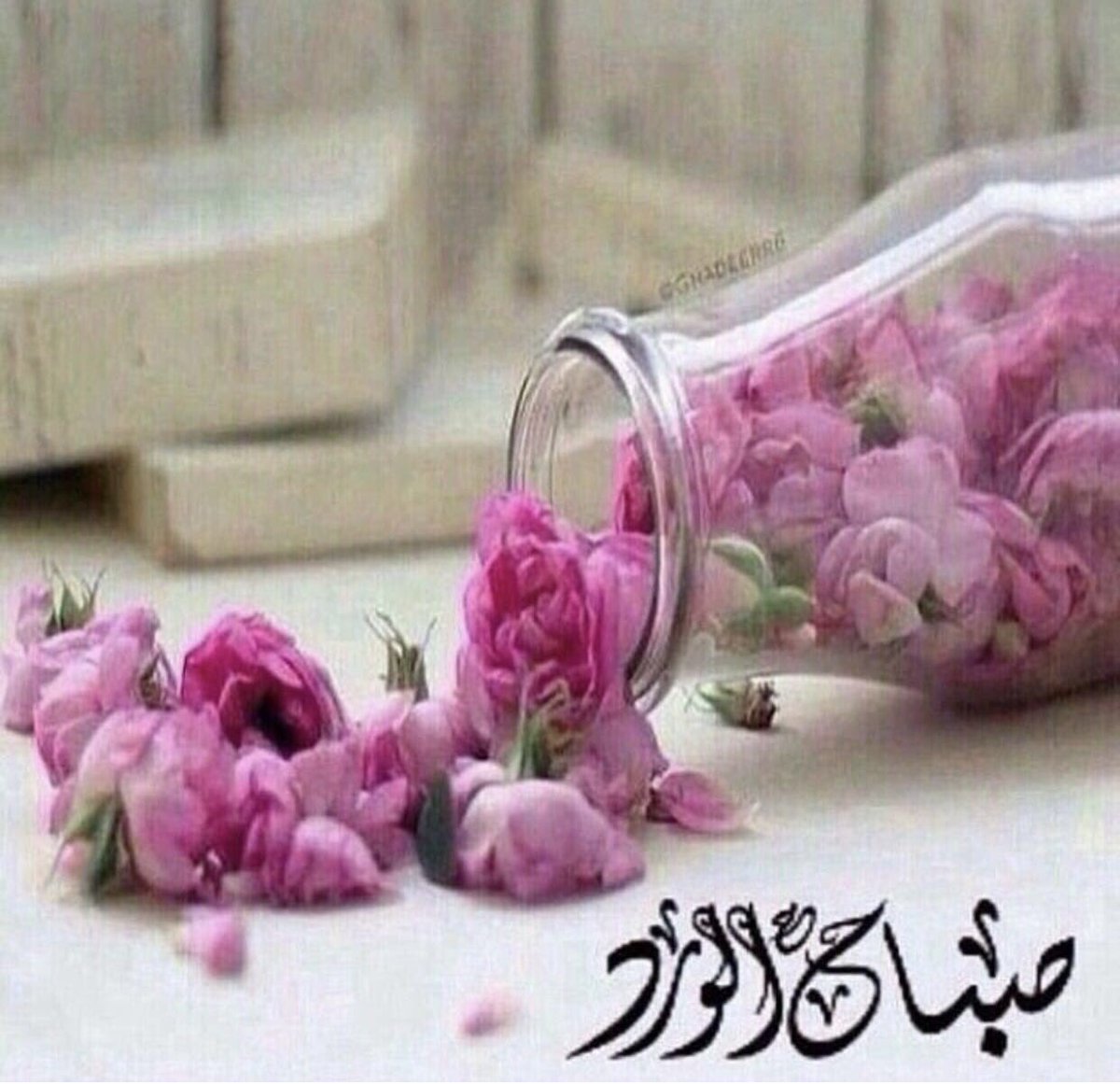 من سبّح لله في يومه ١٠٠ مرّه ؟ 
غفرت ذنوبه بإذن الله وان كانت مثل زبد البحر ،
سُبحان الله وبحمده سُبحان الله العظيم .
صباح الخير