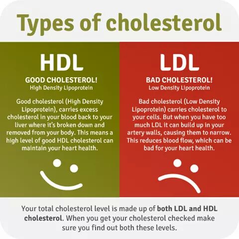 TLF_Physio's tweet photo. || #TheLifeFitPhysiotherapy || 
|| #TLF ||   || #Physiotherapy ||
|| #PartnersInYourRecovery ||
#cholesterol https://t.co/75WGjoCDIO