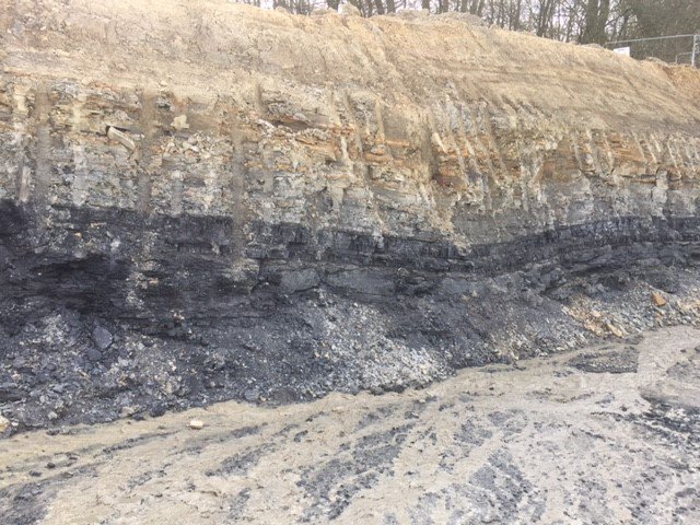 BettsGeo's tweet photo. Close up of coal strata on site in Yorkshire #earthworks #coal #coalseam https://t.co/AHmsnjrqor