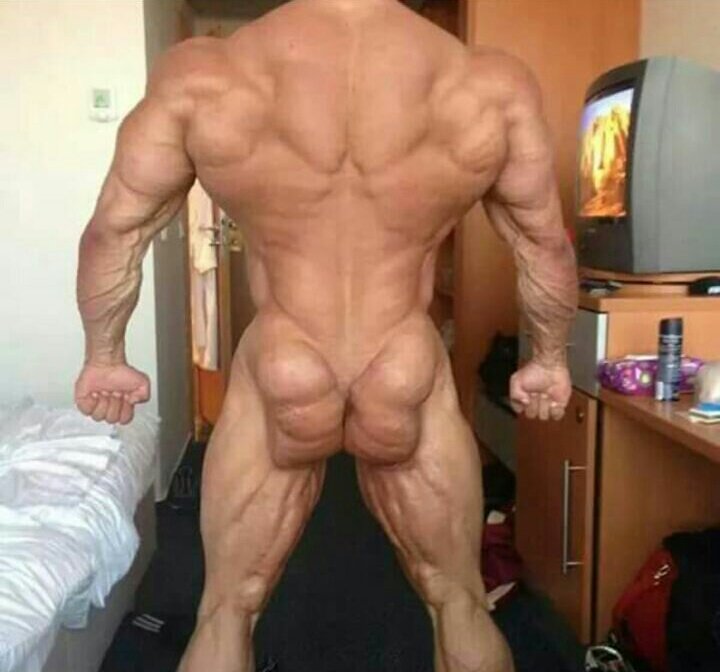 Mindmucle's tweet photo. Ummm butt goals😂.... #backgains #buttgains #workforit https://t.co/HN9V9B4xwa