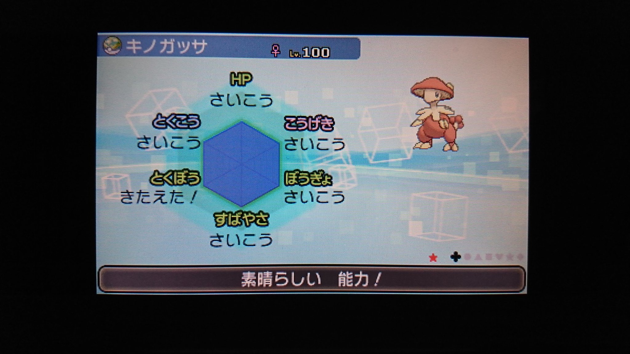 てりやき ポケモン垢 Ytmyzzz Twitter