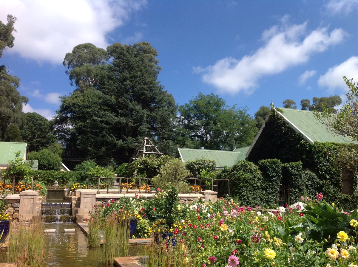 Beautiful setting for <a href="/showcookcom/">showcookcom</a> #InterHotelChallenge regional launch here at the magnificent <a href="/HartfordHouse/">Hartford House</a> - stunning hotel!