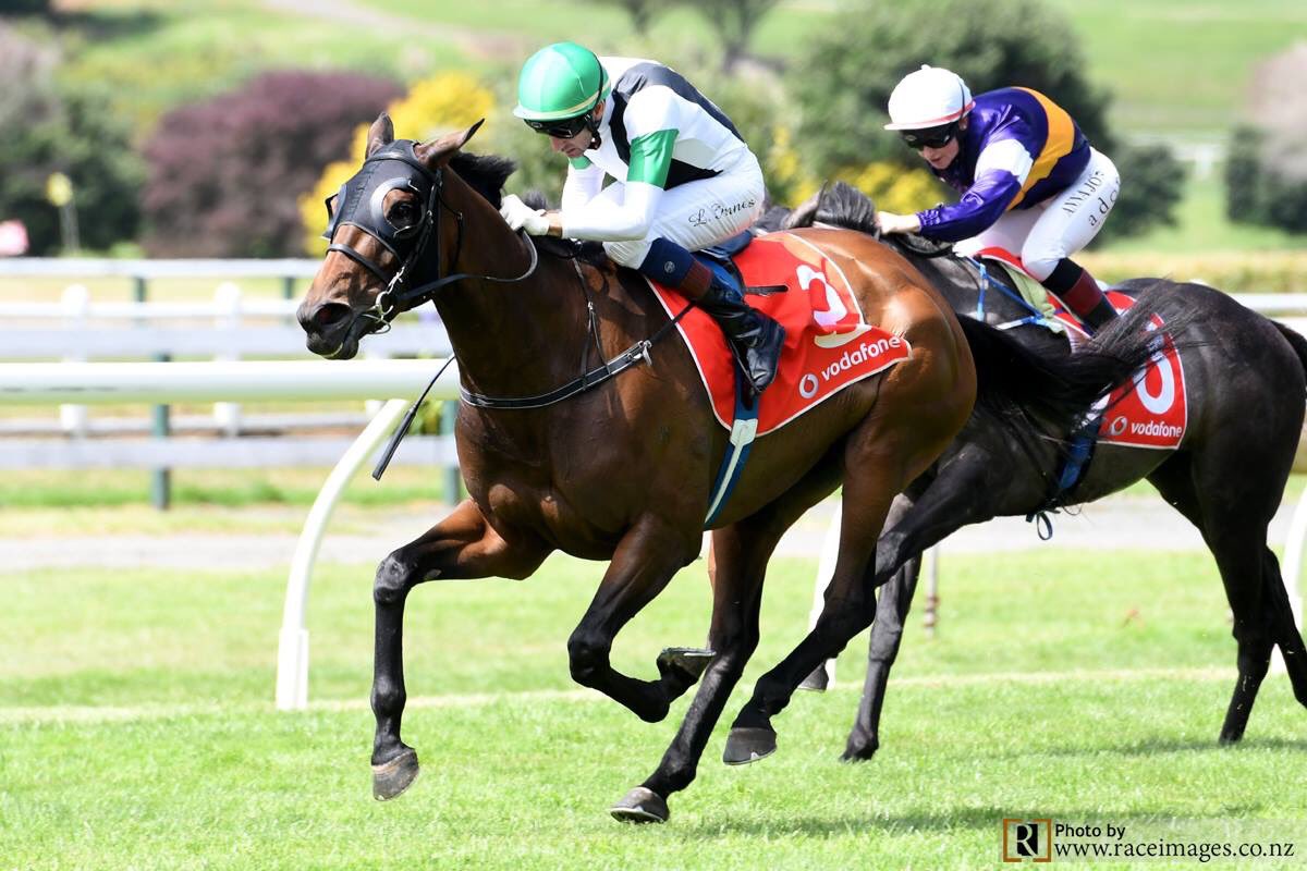 Pike Racing (@pikeracing) on Twitter photo First G1 for the season won by Pike family favourite #Chenille. What a win! #aucklandcup <a href="/Ellerslie_Races/">Auckland Thoroughbred Racing</a> <a href="/BarfootThompson/">Barfoot & Thompson</a> First G1 for the season won by Pike family favourite #Chenille. What a win! #aucklandcup <a href="/Ellerslie_Races/">Auckland Thoroughbred Racing</a> <a href="/BarfootThompson/">Barfoot & Thompson</a>