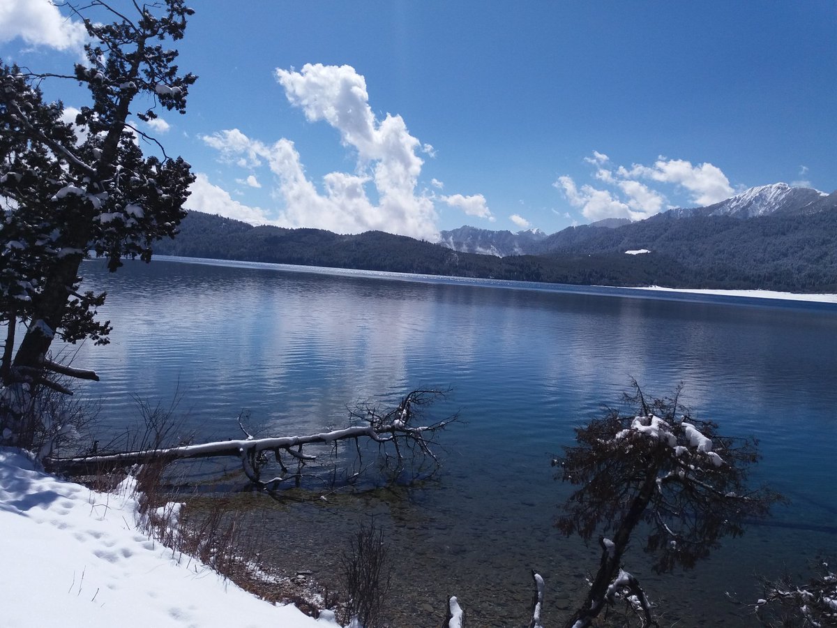 san_emo727's tweet photo. #RARA the sign of #purity https://t.co/Lhv464ytng