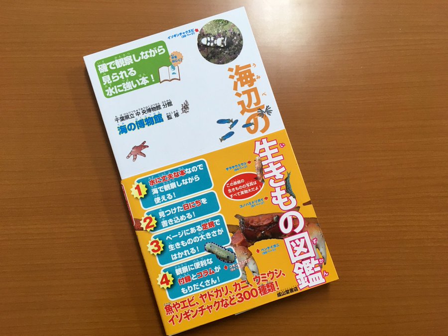 小学校入学祝いのプレゼント 姪っ子が喜ぶものランキングベスト10 琴子チャンネル 子育て 私 好きなコト