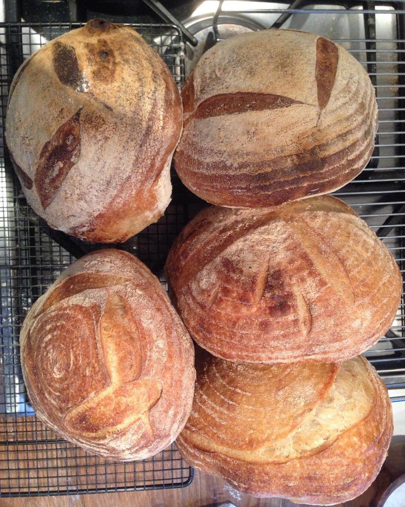 hackneybread's tweet photo. Morning bake
#sourdough #breadcourses #bakingcourses #sourdoughcourses #courses #weekend … https://t.co/OobYedQk7r https://t.co/lrZpNcMKVn