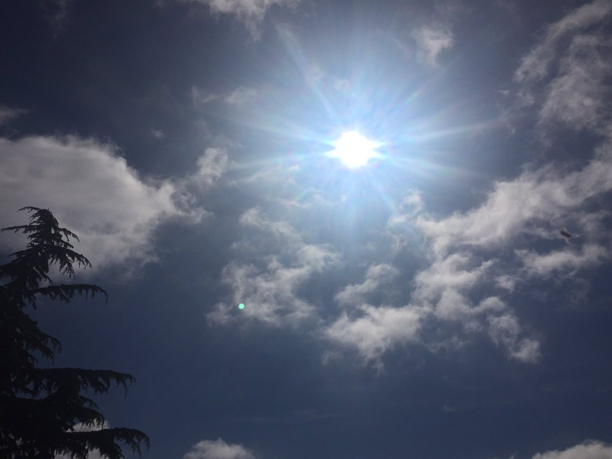 MyVitD's tweet photo. There it is!! Go get some. Free #vitaminD for everyone today. https://t.co/vEuT7AhDnl